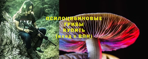 прущая мука Алзамай